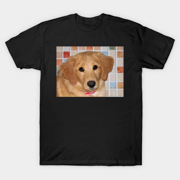 Adorable Golden Retriever Puppy T-Shirt by PandLCreations